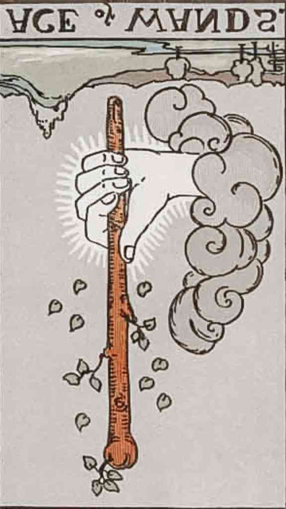 Ace of Wands reversed