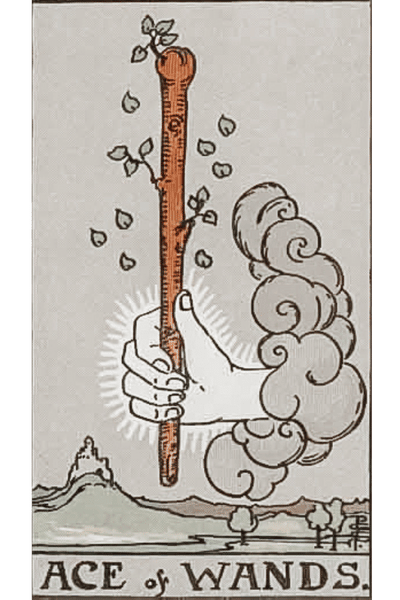 Ace of Wands tarot card