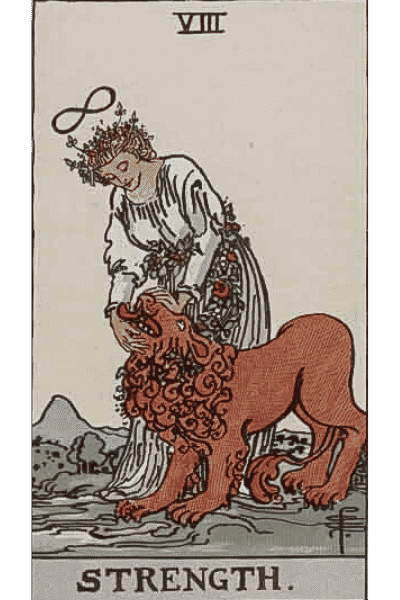 strength tarot card